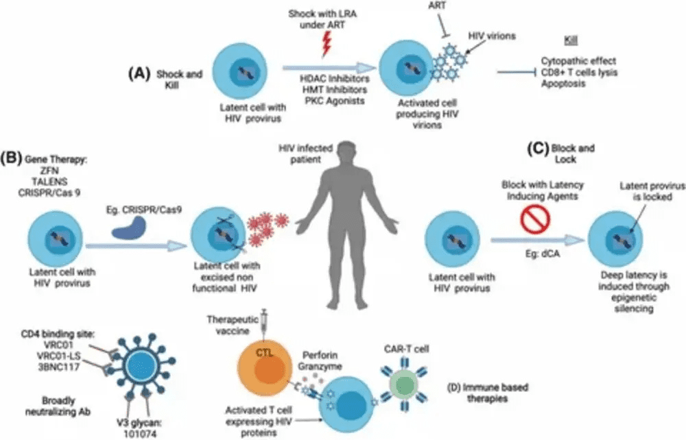 Types of Life Insurance for People Living with HIV