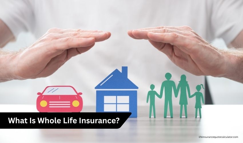 Term vs Whole Life Insurance: Key Differences, Pros, Cons and Which Policy Fits Your Needs