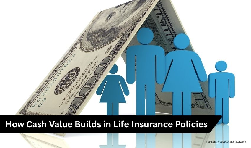 Cash Value Life Insurance What It Is and How It Works