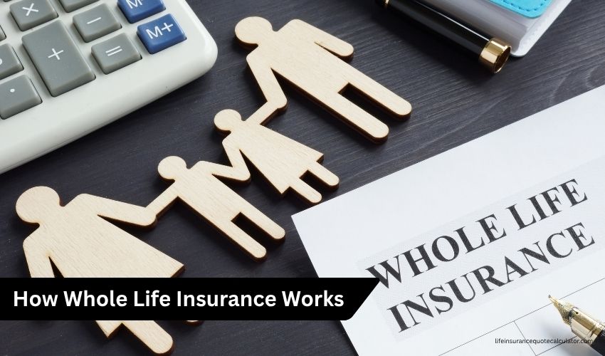 Whole Life Insurance Quote Everything You Need to Know About Whole Life Insurance Policies