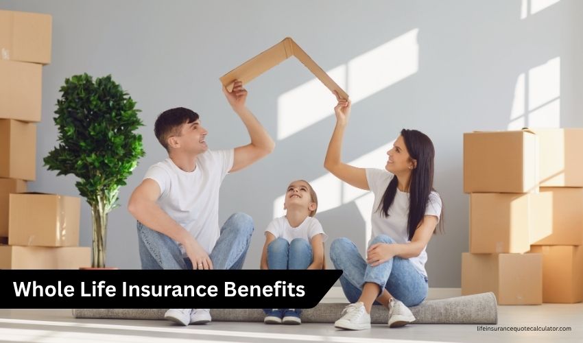 Whole Life Insurance Quote Everything You Need to Know About Whole Life Insurance Policies
